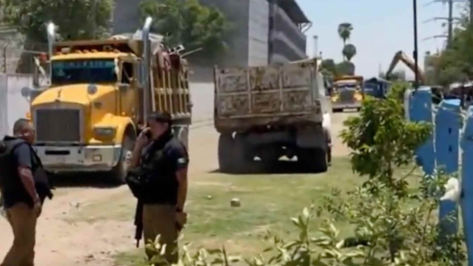 Durante el operativo también se rescató a cinco felinos