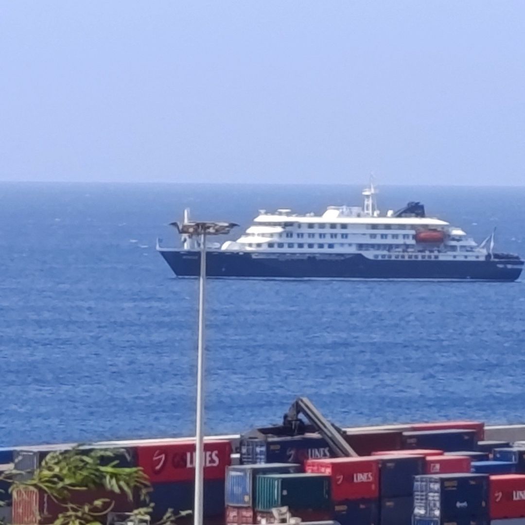 ¿Exista vacuna contra el hantavirus? Brote en crucero mantiene a 150 pasajeros atrapados