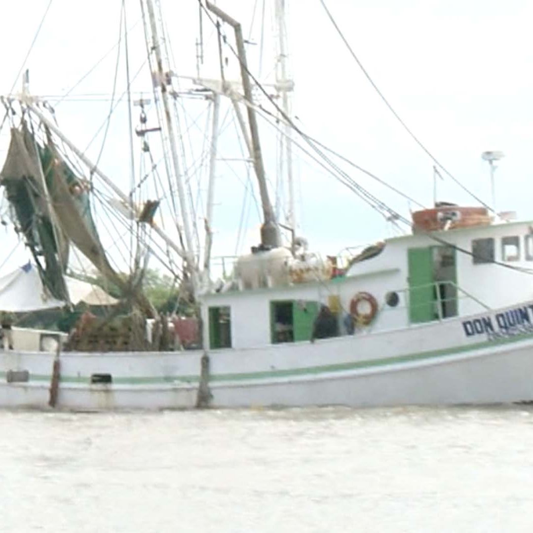 Inicia la Veda de Camarón 2026 en el Golfo de México y Caribe; Pescadores Suspenden Captura