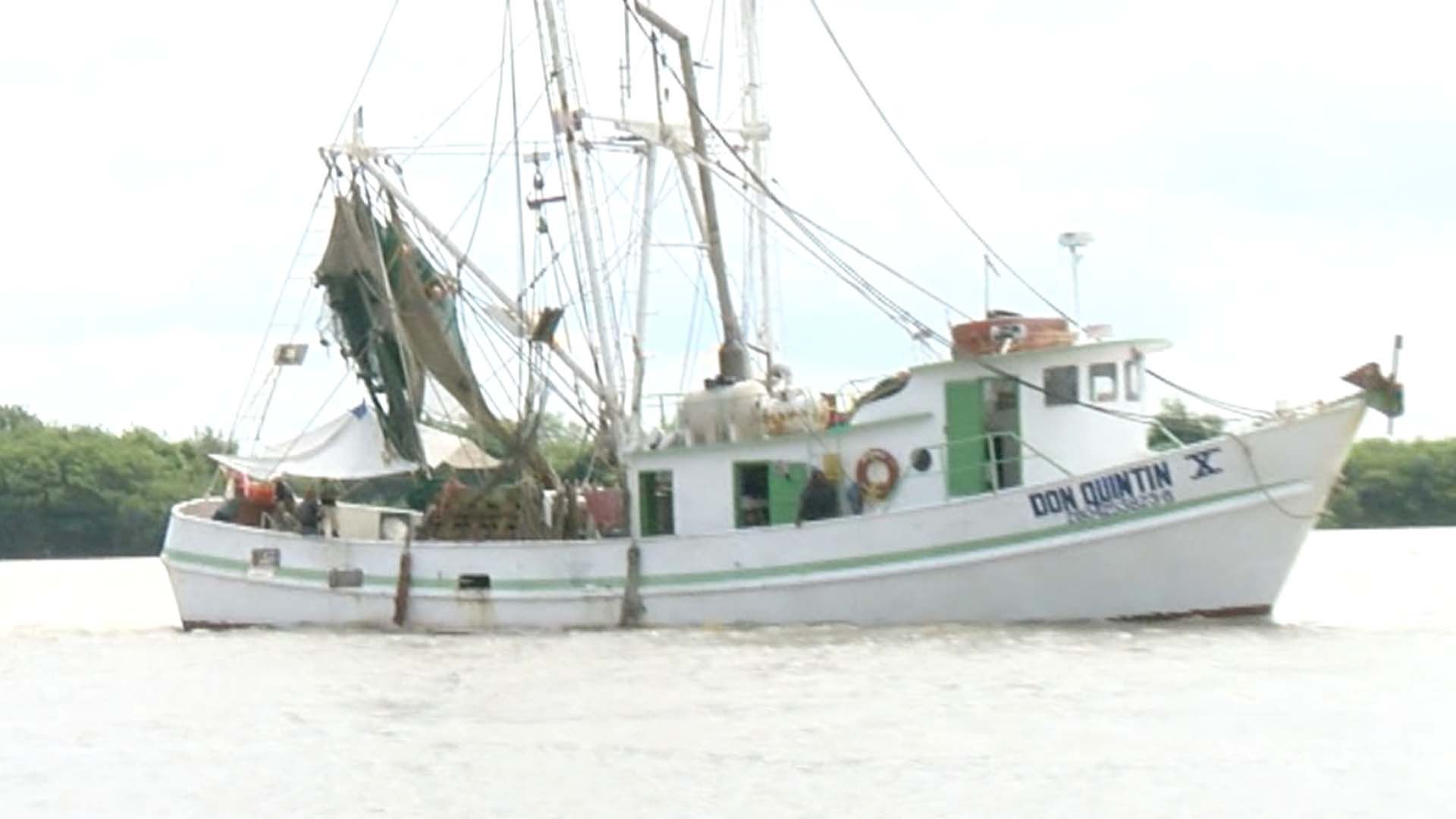 Inicia la Veda de Camarón 2026 en el Golfo de México y Caribe; Pescadores Suspenden Captura