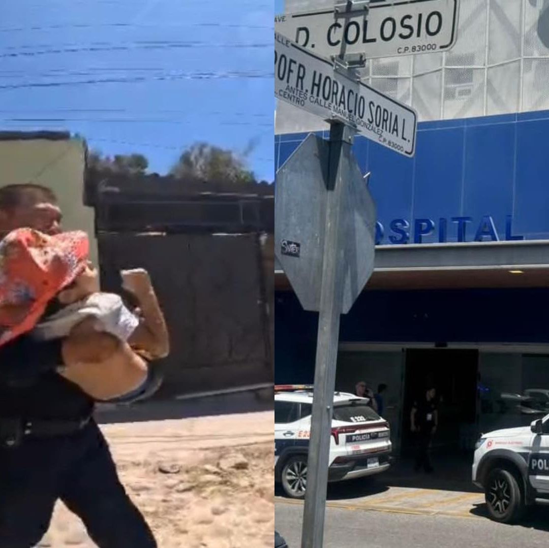 Menor de 7 Años es Mordida por Araña Viuda Negra en el Centro de Hermosillo