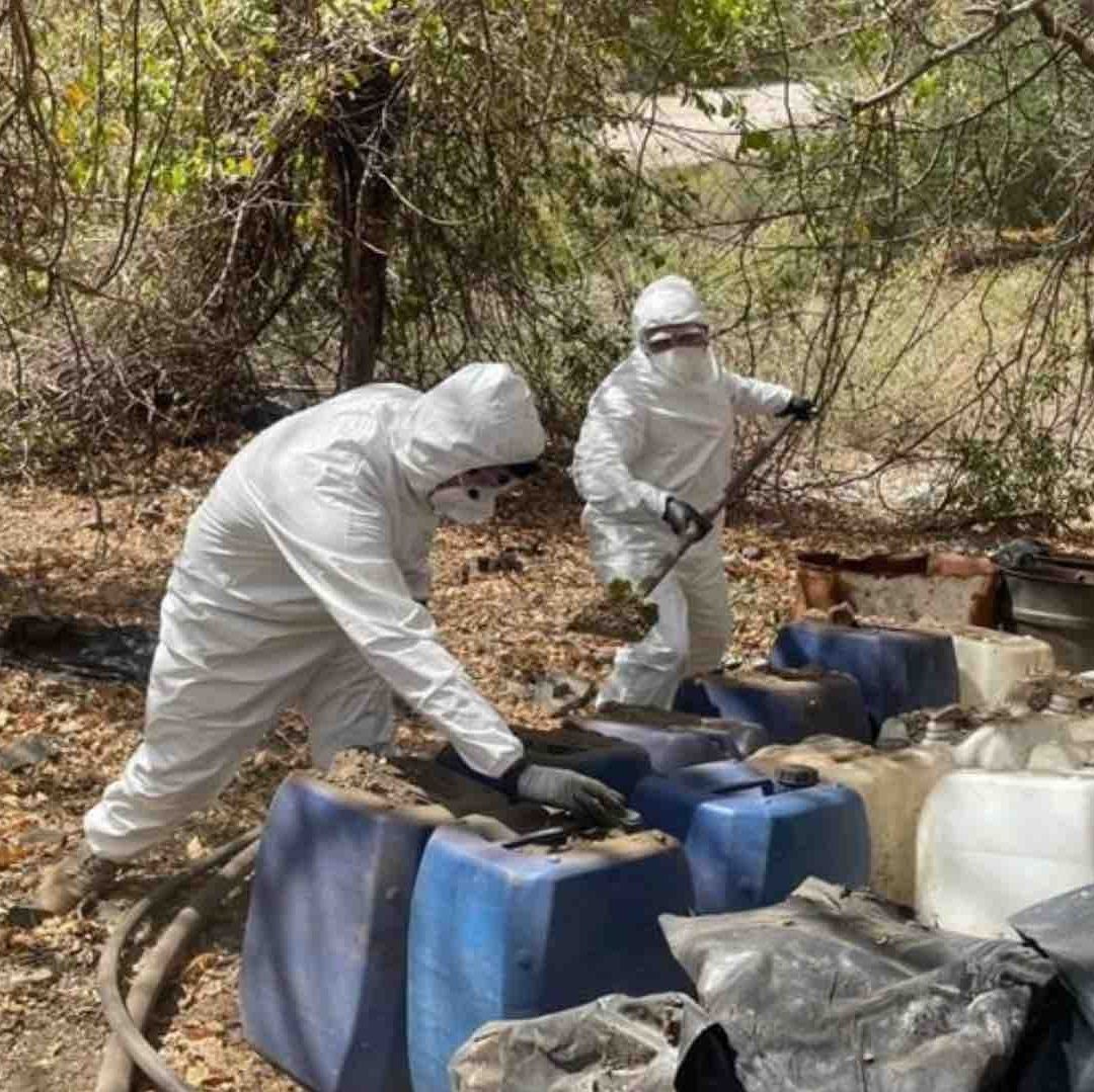 Localizan y Aseguran Presuntas Áreas de Elaboración de Droga en Culiacán y Cosalá en Sinaloa