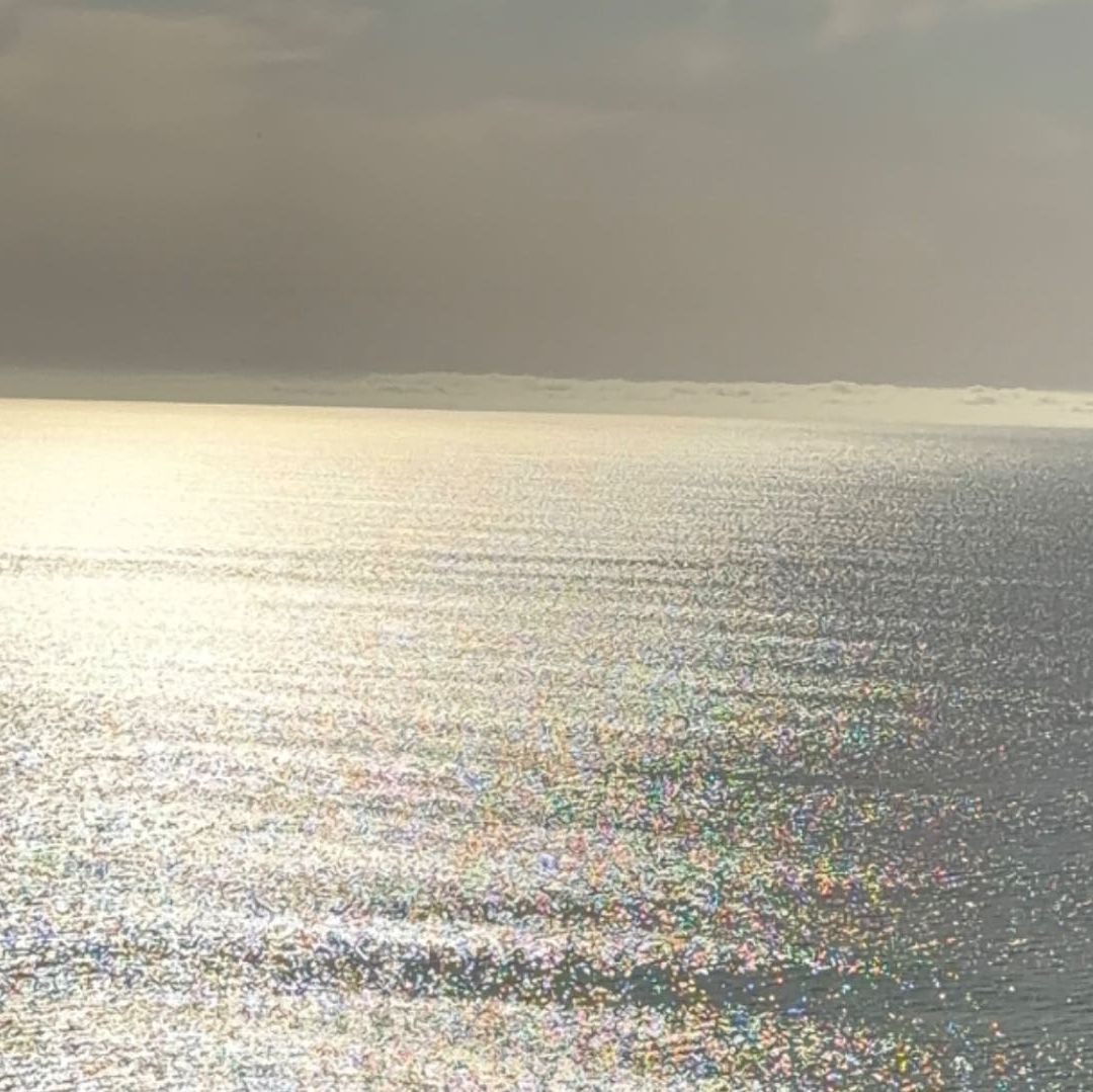 Título editorial Cierran Playa Hermosa en Ensenada por Derrame de Aguas Residuales