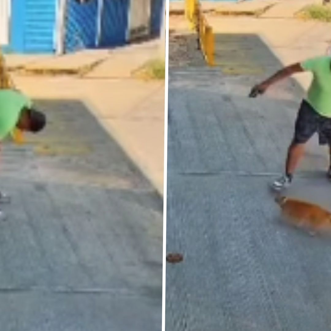 Justicia para “Tripita”: Sujeto Atrae con Juegos a Gato y Luego lo Maltrata, en Oaxaca