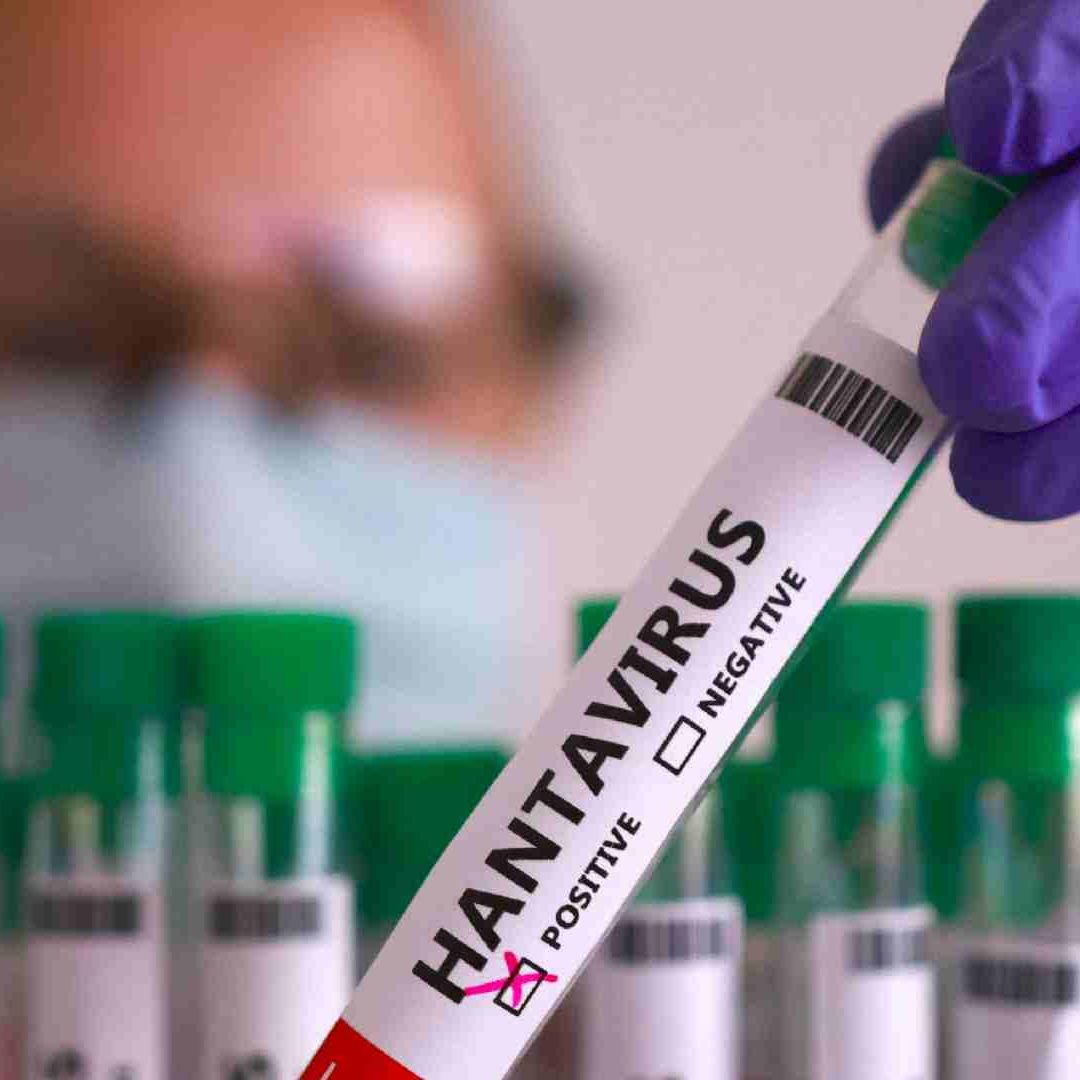Moderna anuncia desarrollo de vacuna contra hantavirus