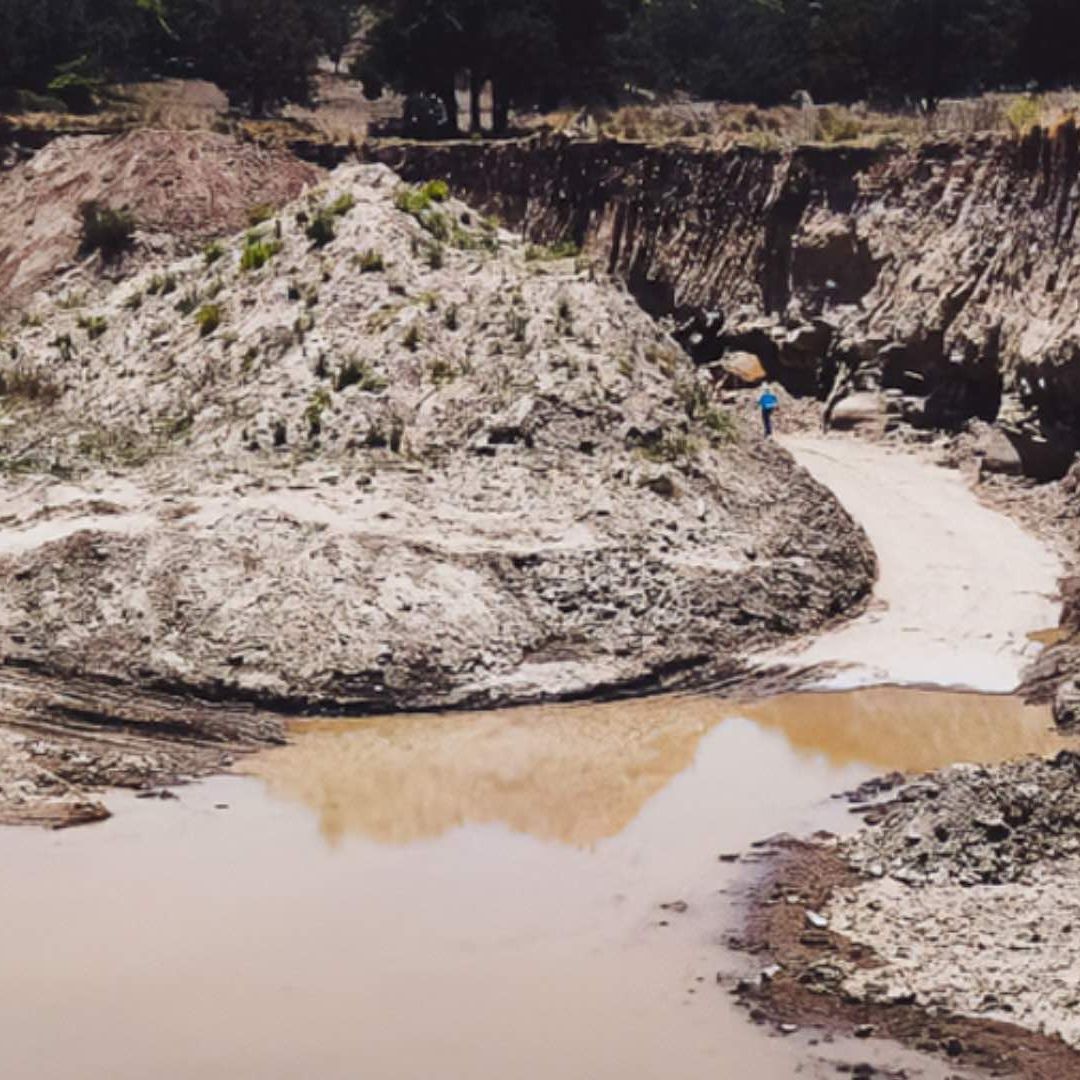 Profepa Clausura Predios Extracción Materiales Pétreos Bosques Ixtacuixtla de Mariano Tlaxcala