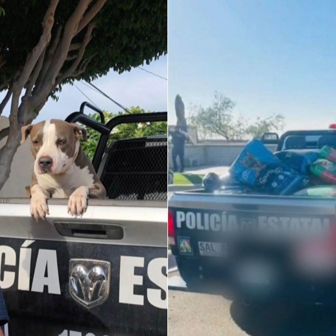 Agente de la Policía Asesinado en Ciudad Obregón Pidió Croquetas en Lugar de Flores en Funeral