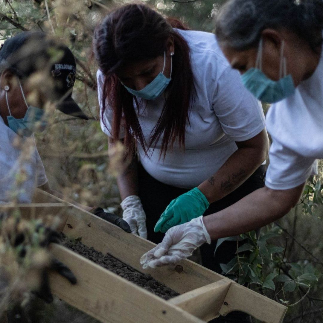 Segob y FGR Recorrerán Regiones del País para Dialogar con Familias y Colectivos de Búsqueda
