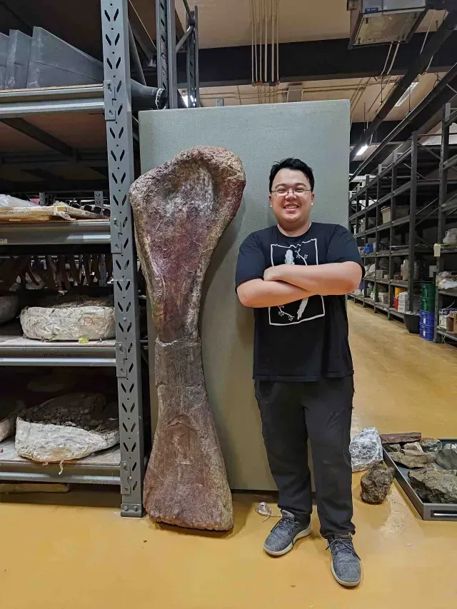 Hueso del dinosaurio gigante. Foto: Reuters