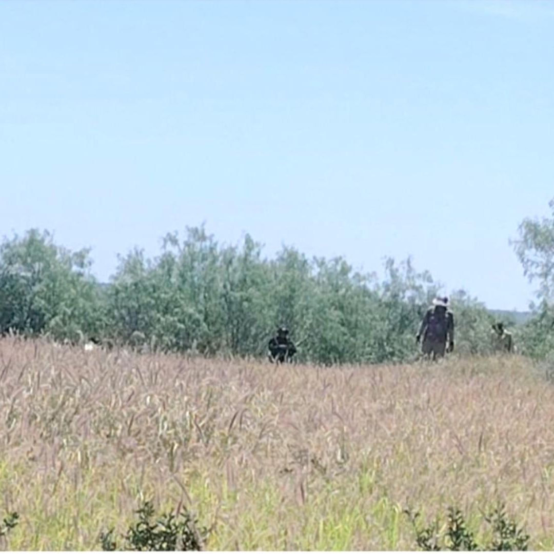 Aumenta Hallazgo de Osamentas en Rancho de Miguel Alemán, Tamaulipas