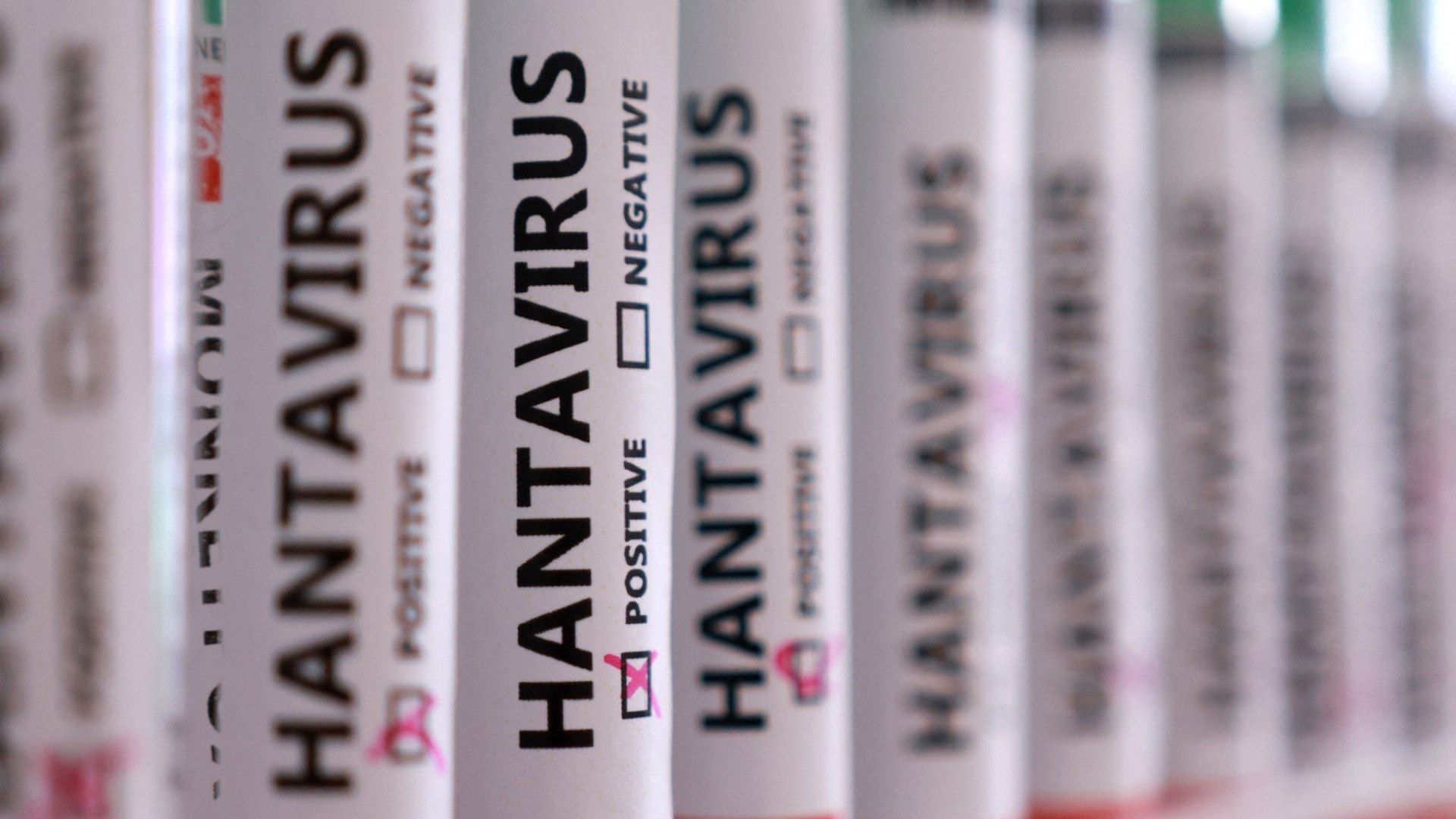 hantavirus