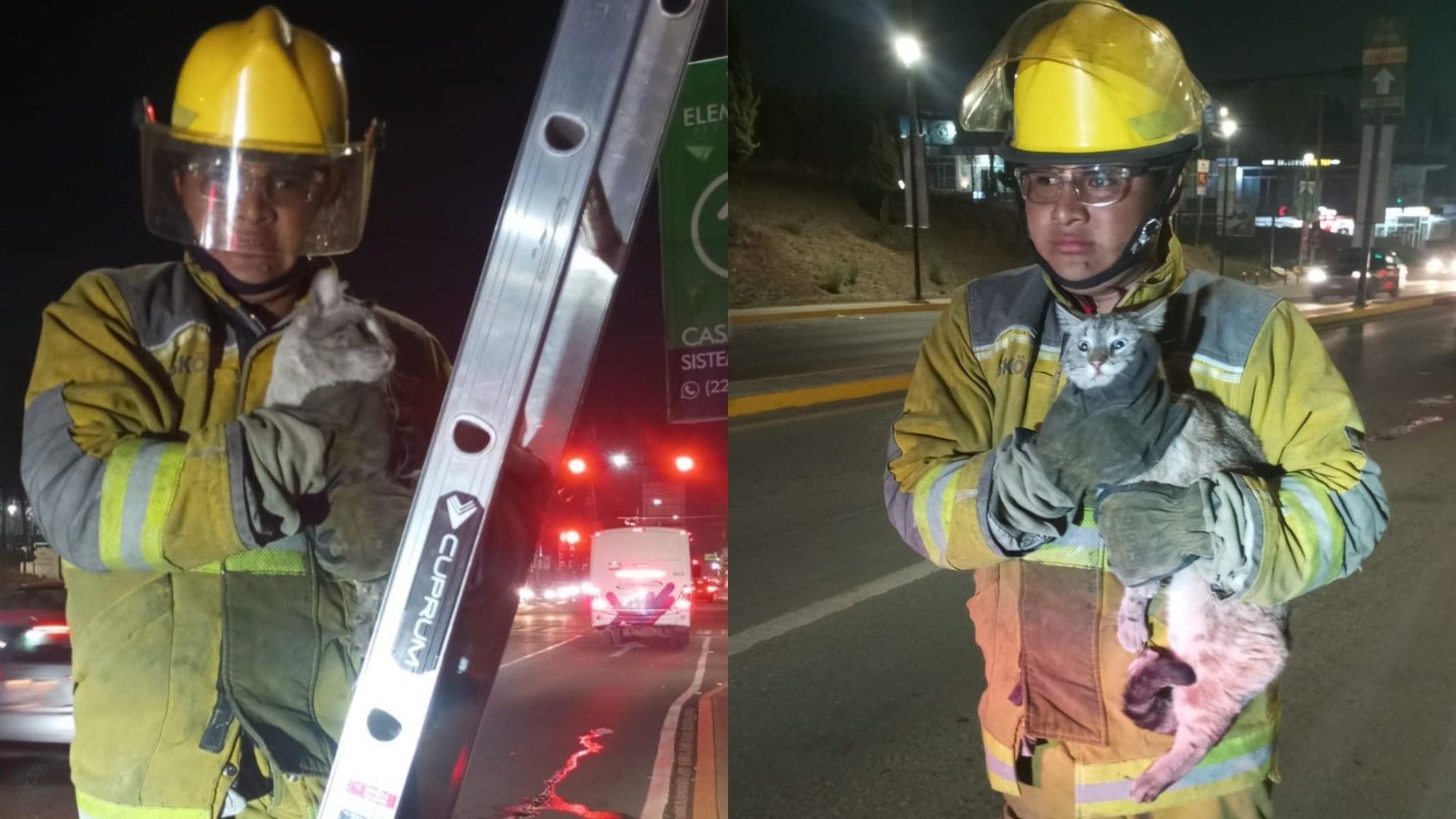 Rescate Gato Atrapado Puente Periférico Ecológico San Francisco Ocotlán Coronango