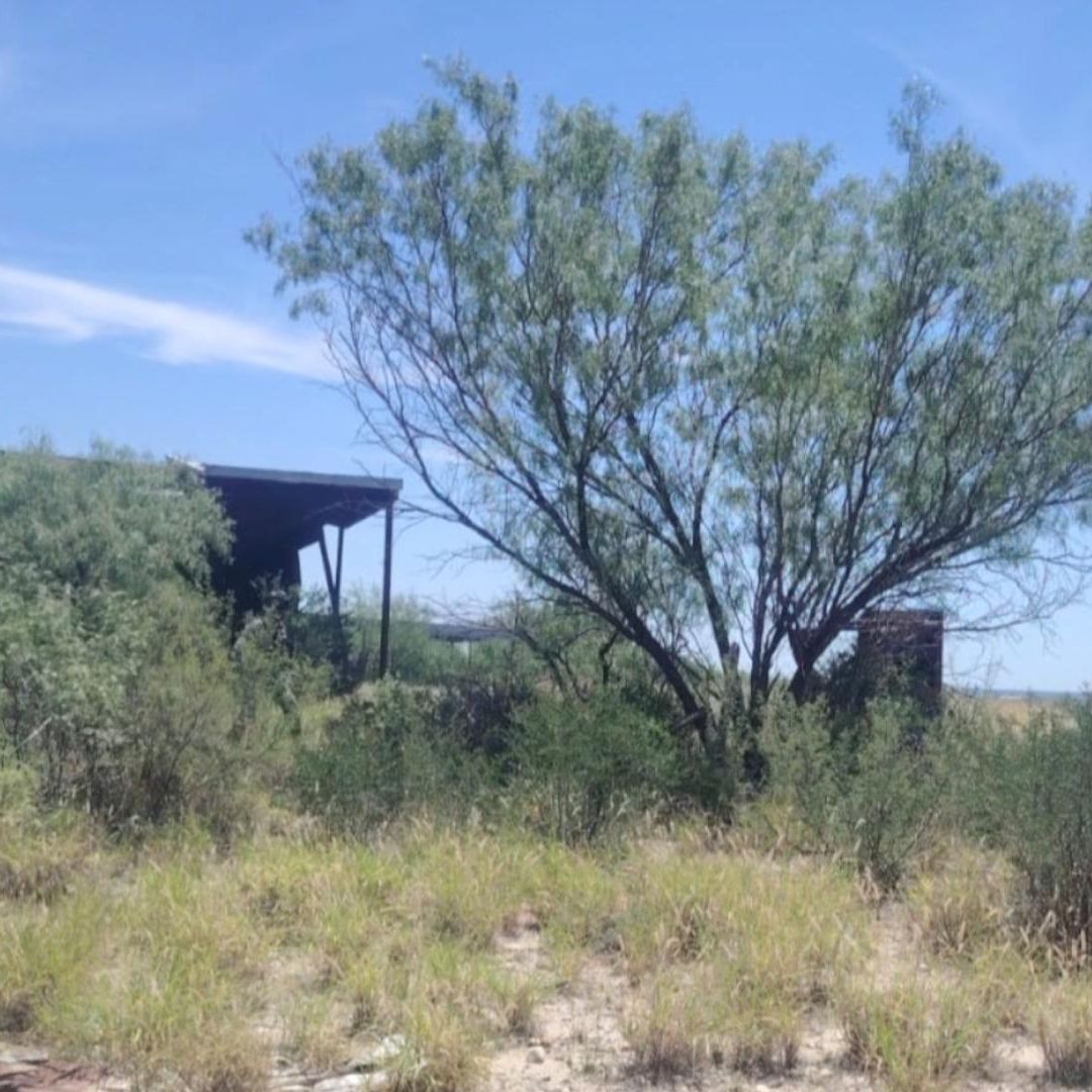 Hallan Fosas Clandestinas en Rancho Abandonado de Tamaulipas; Restos Pertenecen a 12 Personas
