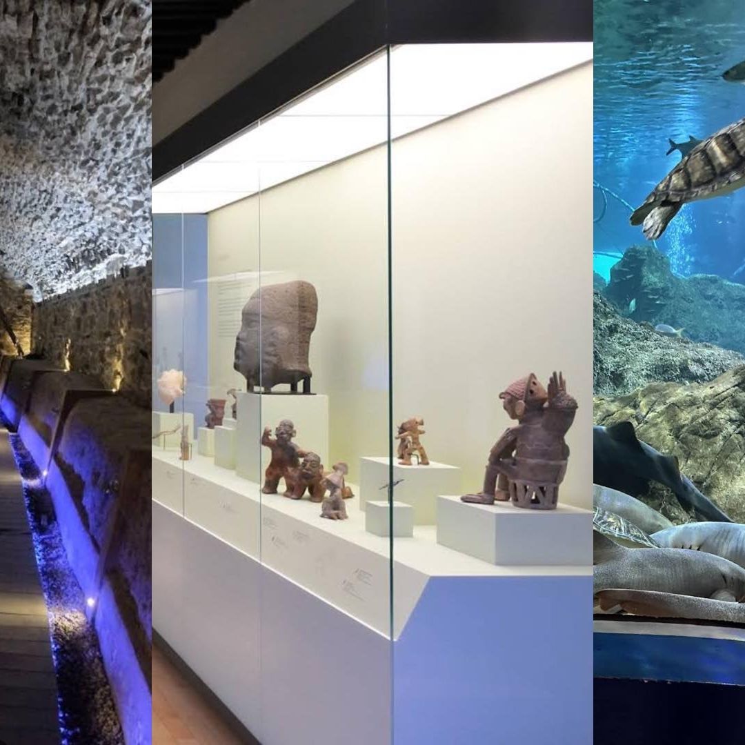 Noche de Museos en Puebla Sábado 16 Mayo 2026 Lista Completa Recintos Participantes Ubicación