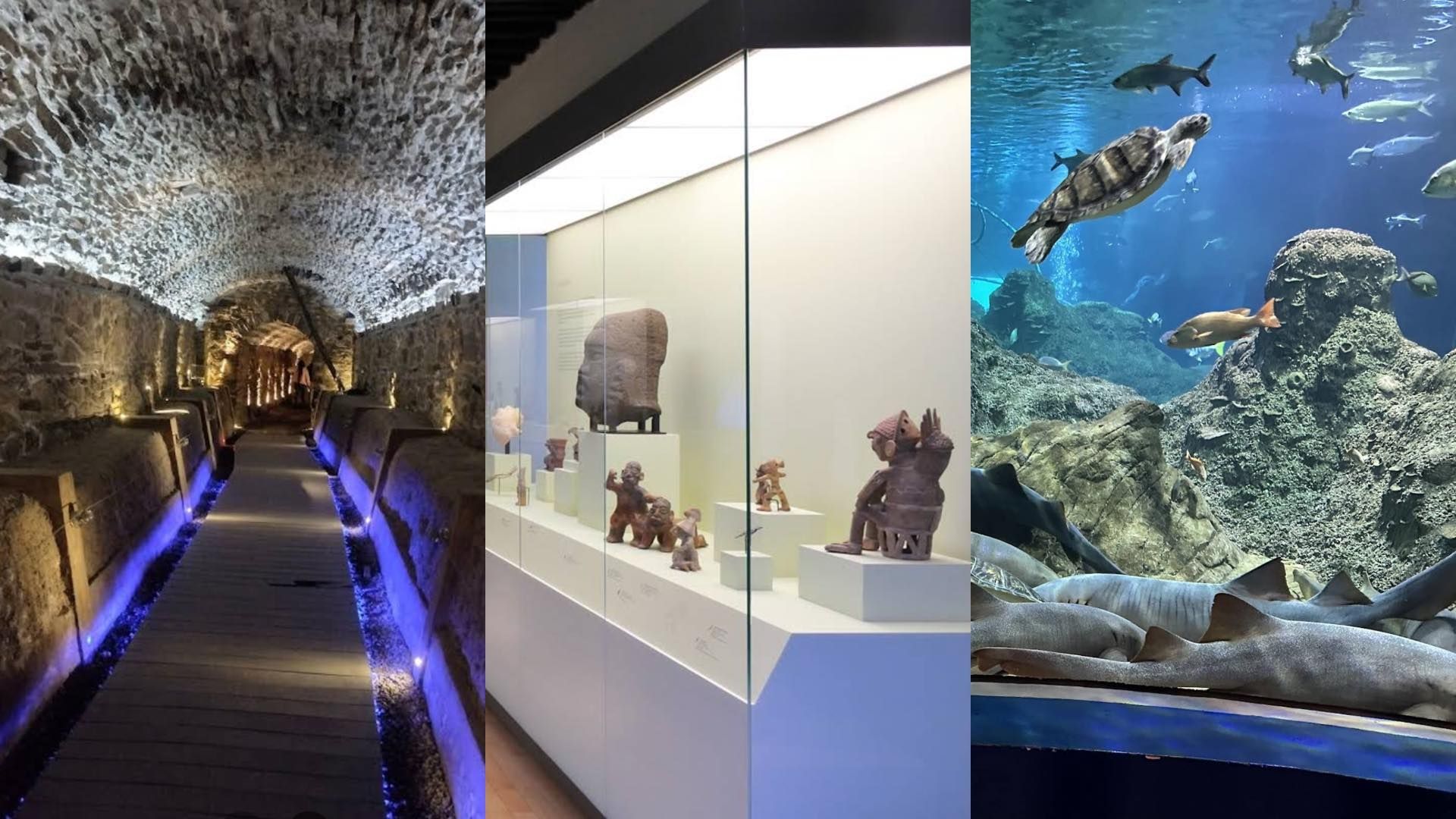 Noche de Museos en Puebla Sábado 16 Mayo 2026 Lista Completa Recintos Participantes Ubicación