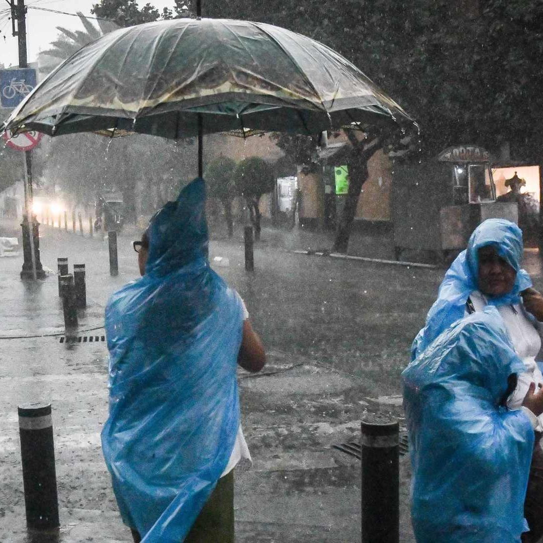 Pobladores se protegen de las lluvias con paraguas e impermeables en CDMX el 12 de mayo de 2026. Foto: Cuartoscuro