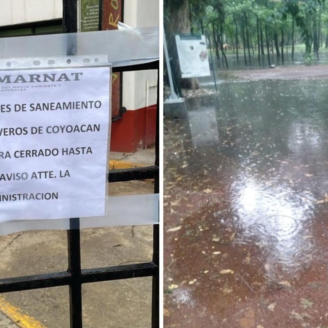 Cierran Viveros de Coyoacán por Crecida de Río Magdalena tras Lluvias: Revelan Fecha Reapertura