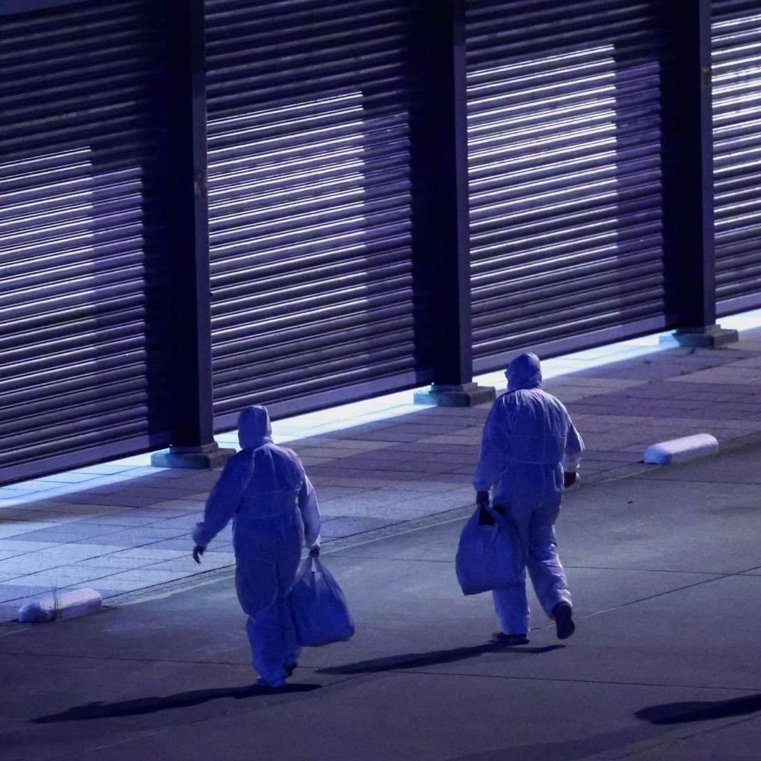 Pasajeros evacuados del crucero MV Hondius, afectado por un brote de hantavirus.