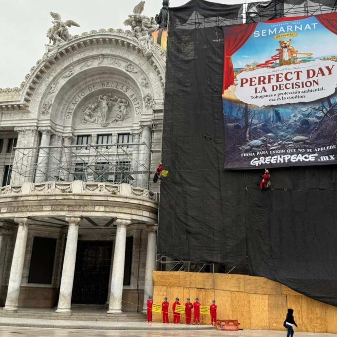 Protesta de Greenpeace en el Palacio de Bellas Artes