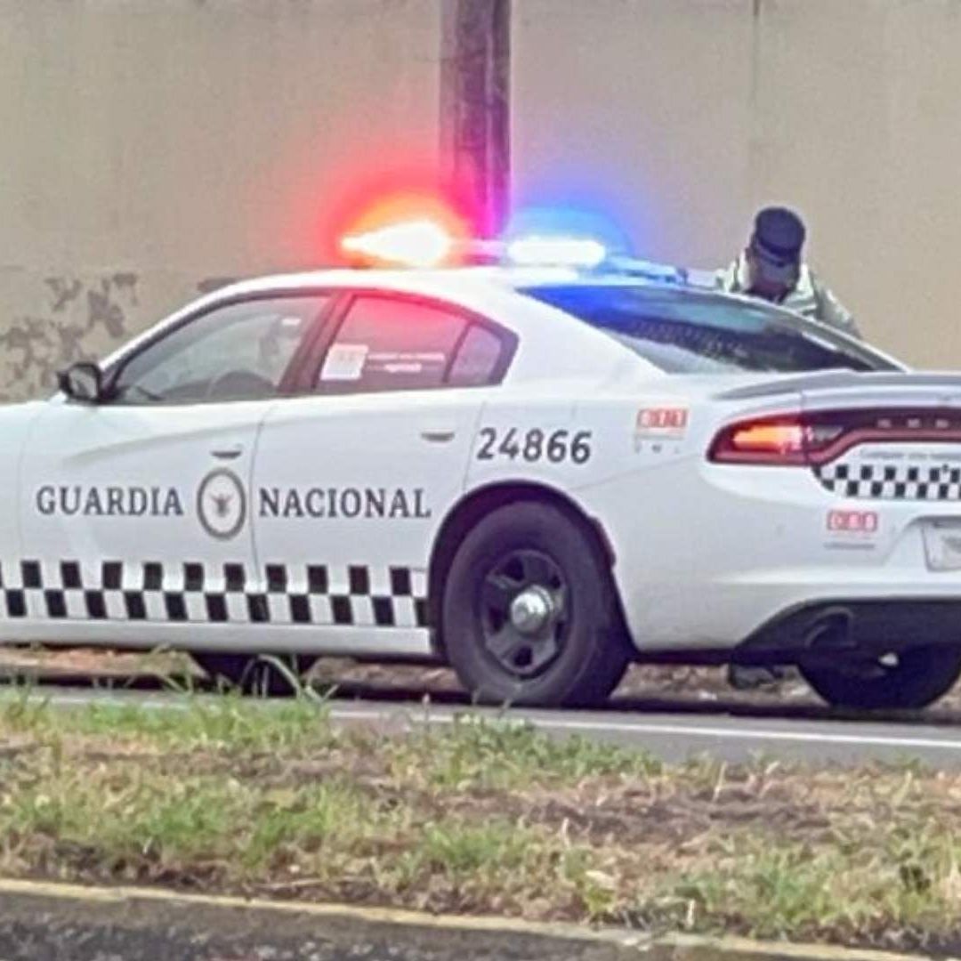 Caballo Atropellado Taxi en Carretera Veracruz Xalapa Las Bajadas