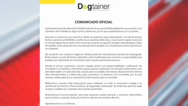 Comunicado del Hotel Canino Sobre la Muerte de la Perrita Molly. Foto: Dogtainer