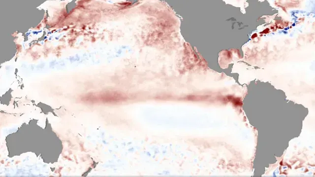 Las aguas cálidas de El Niño afectan a unas diminutas plantas marinas llamadas fitoplancton. Foto: Centro de Vuelos Espaciales Goddard de la NASA.