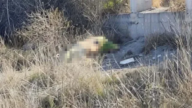 La víctima fue abandonada encobijada en San Pedro Chpaulco. Policías acordonaron en inmediaciones del Puente Aguacates. Foto: Carolina Rivera