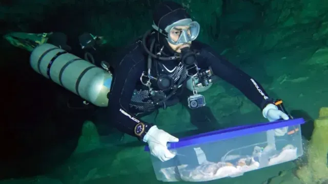 Traslado de fósiles humanos que fueron descubiertos en cenote de Quintana Roo. Foto: INAH