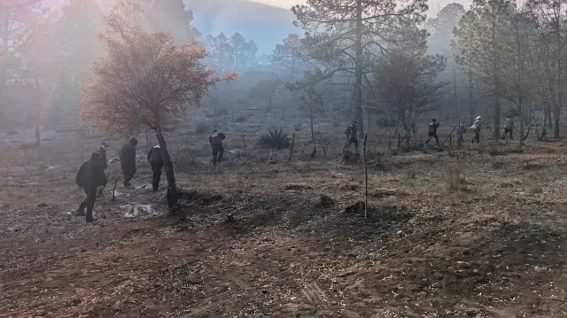 Plan Tamaulipas es Activado por Incendio Forestal en Miquihuana