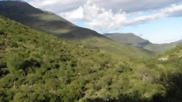 Es la primera vez que se capta un jaguar en Guanajuato. Foto: N+