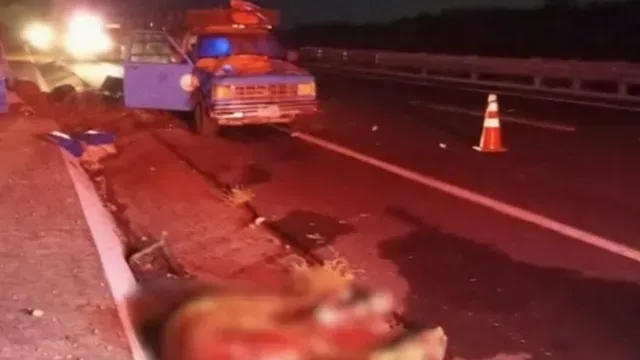 Caballo sale proyectado y muere tras accidente en autopista. Foto: X @ciudadano_pue