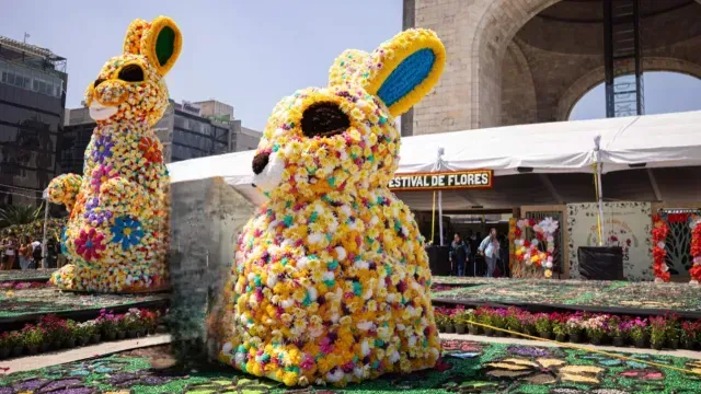 Así Será Festival de las Flores de Primavera 2026 en CDMX