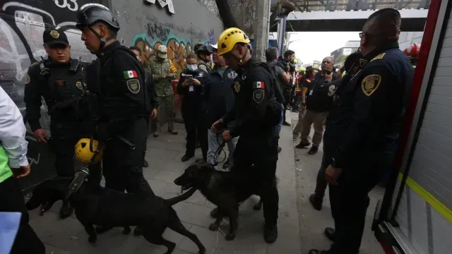 Binomios caninos en labores de rescate hoy en San Antonio Abada. Foto: Jefatura de Gobierno