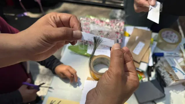 Clase Kit Forense 8M 2026 CDMX