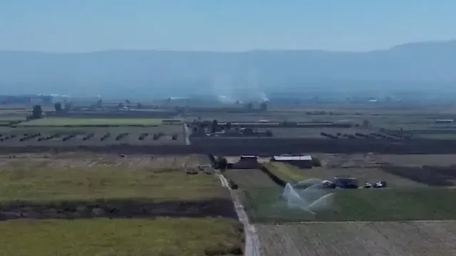 Detienen a "La Leona" en Tala