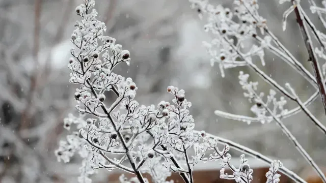 Foto: AP