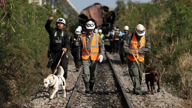 Cuadrillas de rescate llegan a la zona del siniestro. Foto: Reuters