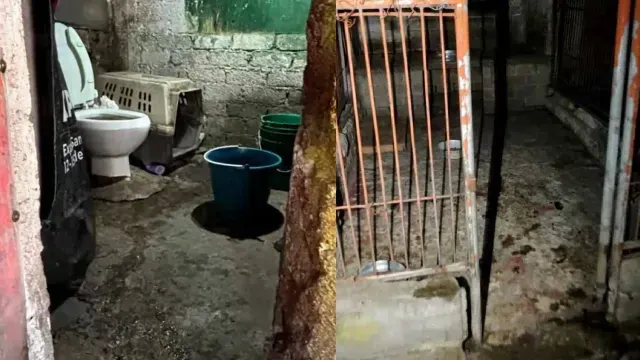 Refugio Franciscano. Foto: Gobierno de la CDMX
