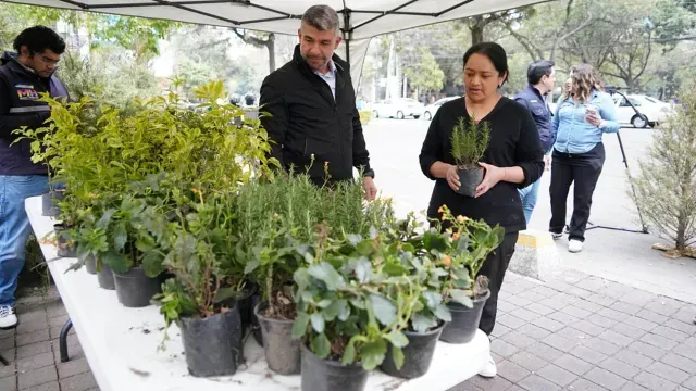 Canje de árboles por plantas en alcaldías de Ciudad de México. Foto: Alcaldía Miguel Hidalgo