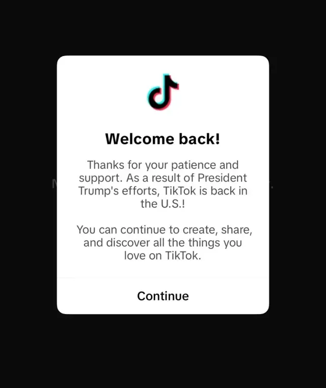 Este mensaje apareció durante la reconexión de TikTok este domingo. Foto: Captura