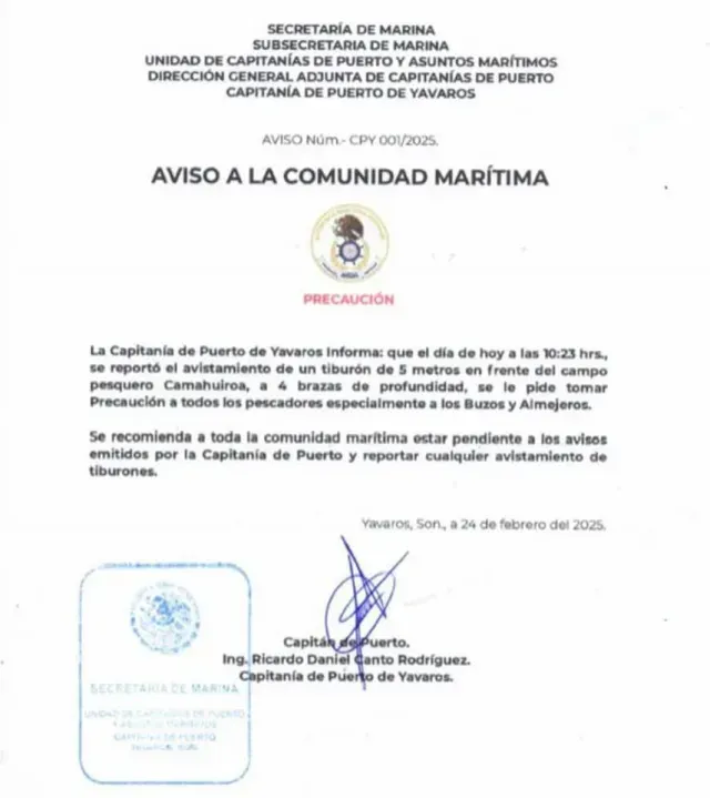 CONFIRMAN PRESENCIA DE TIBURONES EN PUERTO DE YAVAROS