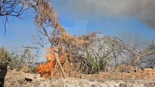 Genera perdidas incendio en La Primavera. Foto: N+