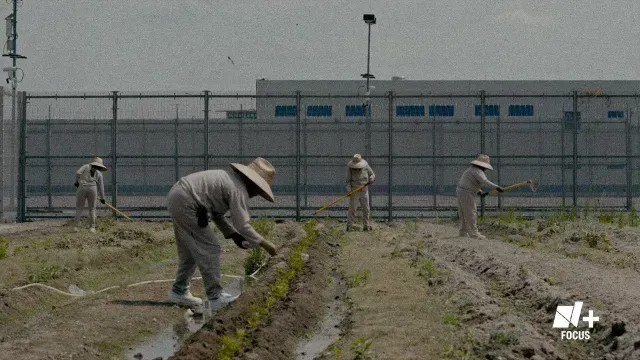 CEFERESO 16: Así es la Prisión Federal de Mujeres en México. Foto: N+ Focus