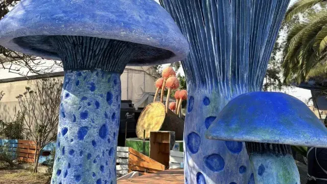 Spora 2025: Así Será el Festival con Hongos Gigantes en el Bosque de Chapultepec