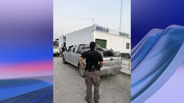 Decomisan 14 Toneladas de Carbón en Tamaulipas