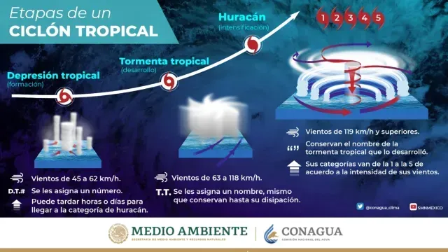 Etapas de un ciclón tropical. Foto: SMN