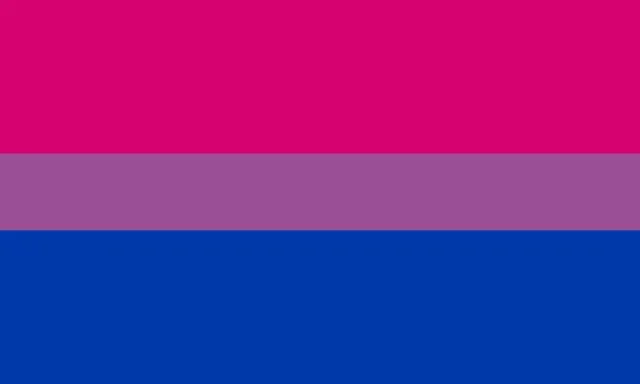 Bandera Bisexual