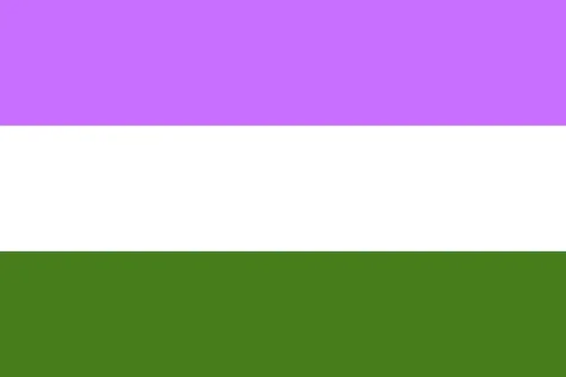 Bandera Queer