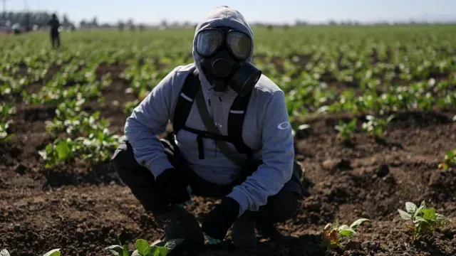 Personas se protegen ante gas lacrimógeno de agentes del ICE. Foto: Reuters