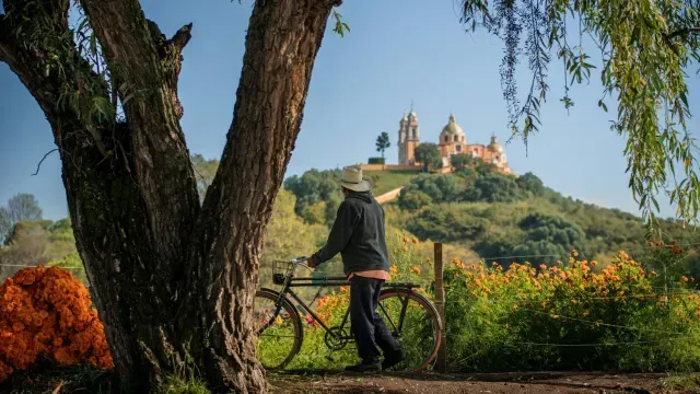 La Gran Pirámide de Cholula necesita de mantenimiento y reforestación. Foto: Pexels | Ilustrativa